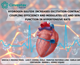 Hydrogen Sulfide Increases Excitation-Contraction Coupling Efficiency and Modulates LCC and SERCA2a Function in Hypertensive Rats