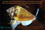 Vinicio Granados Soto - Systemic Antihyperalgesic Effect of a Novel Conotoxin from Californiconus californicus in an Inflammatory Pain Model