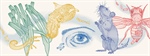PhD Summer School on Host-Microbe Symbioses 2025