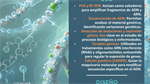 Oligo ¿qué?