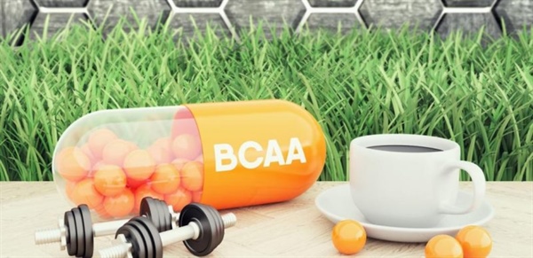 Los aminoácidos de cadena ramificada: su función benéfica y su relación con obesidad y diabetes