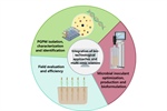 Microbial Inoculants in Sustainable Agriculture: Advancements, Challenges, and Future Directions