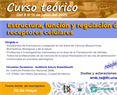 Curso Teórico