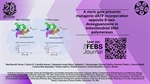 A steric gate prevents mutagenic dATP incorporation opposite 8-oxo-deoxyguanosine in mitochondrial DNA polymerases