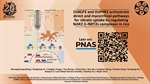 OsNLP3 and OsPHR2 orchestrate direct and mycorrhizal pathways for nitrate uptake by regulating NAR2.1–NRT2s complexes in rice