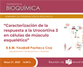 B.B.M. Yesabell Pacheco Cruz