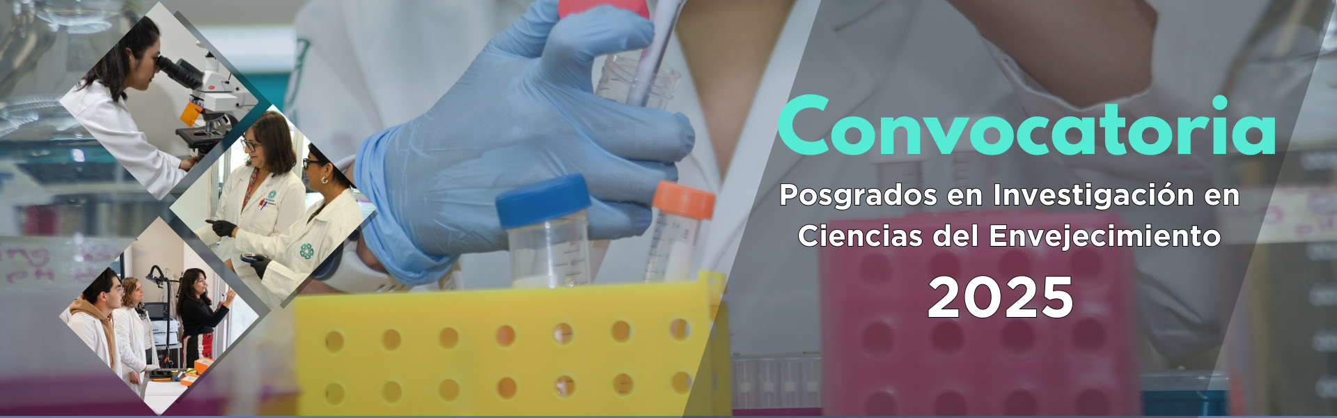 Posgrados CIE 2025