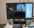 Laboratorio de Microscopía