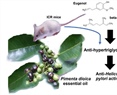 Chemical Variation and Biological Properties of the Essential Oil and Main Volatiles of Pimenta dioica Harvested in the Northern Highlands of Puebla, Mexico