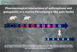 Javier López Muñoz - Pharmacological interactions of sulforaphane and gabapentin in a murine fibromyalgia-like pain model