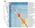 Physiology, Heavy Metal Resistance, and Genome Analysis of Two Cupriavidus gilardii Strains Isolated from the Naica Mine (Mexico)