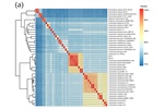 Physiology, Heavy Metal Resistance, and Genome Analysis of Two Cupriavidus gilardii Strains Isolated from the Naica Mine (Mexico)