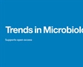 Challenges of female microbial ecologists at different stages of their academic life: a Mexican perspective
