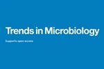 Challenges of female microbial ecologists at different stages of their academic life: a Mexican perspective