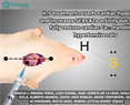 Norma Leticia Gómez Viquez - H2S treatment reverts cardiac hypertrophy and increases SERCA2a activity but does not fully restore cardiac Ca2+ handling in hypertensive rats