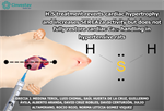 Norma Leticia Gómez Viquez - H2S treatment reverts cardiac hypertrophy and increases SERCA2a activity but does not fully restore cardiac Ca2+ handling in hypertensive rats