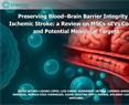 Mónica Díaz Coránguez - Preserving Blood–Brain Barrier Integrity in Ischemic Stroke: a Review on MSCs‑sEVs Content and Potential Molecular Targets
