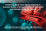 Mónica Díaz Coránguez - Preserving Blood–Brain Barrier Integrity in Ischemic Stroke: a Review on MSCs‑sEVs Content and Potential Molecular Targets