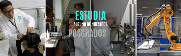 Banner-IE