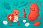 Antibióticos y resistencias bacterianas: mecanismos de acción, estrategias de resistencia y la importancia de Una Salud