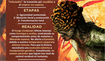 El hongo de The Last of Us