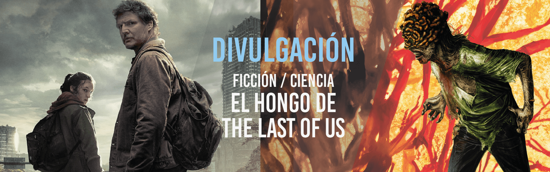 El hongo de The Last of Us