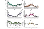 Resilience and Disruption in Mexico’s Intermunicipal Mobility Network: A Component Decomposition Approach