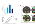 The tps5, tps10 and tps11 class II trehalose phosphate synthase mutants alter carbon allocation to starch and organic and amino acids at two different photoperiods in Arabidopsis