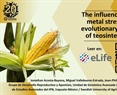 The influence of heavy metal stress on the evolutionary transition of teosinte to maize