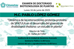 Examen de doctorado de M.C. Pablo López Gómez