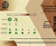 The promise of resurrection plants in enhancing crop tolerance to water scarcity