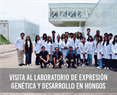 Visita al Laboratorio de Expresión Genética y Desarrollo en Hongos