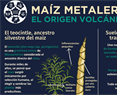 Maíz metalero: