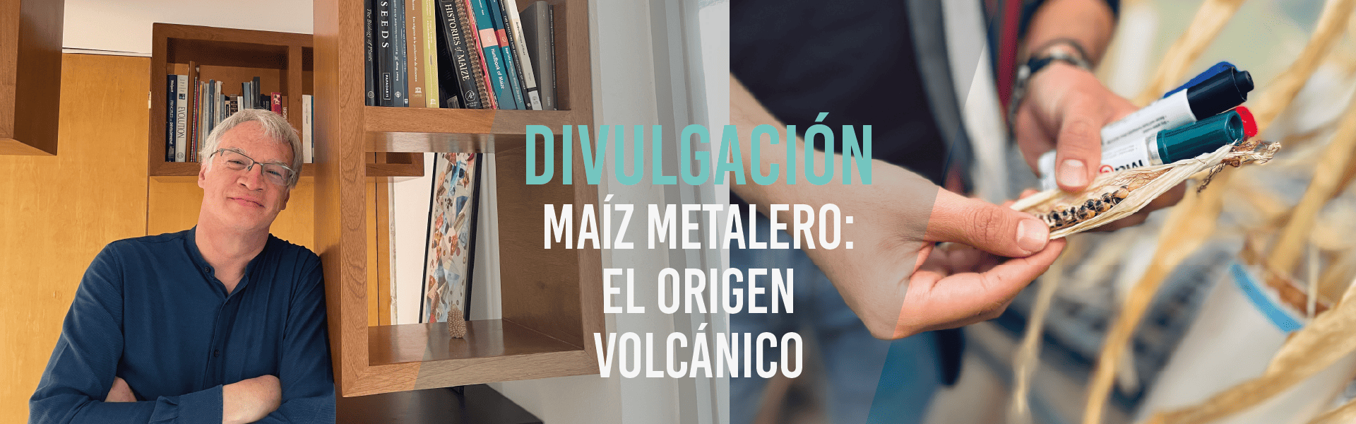 Maíz metalero: El origen volcánico