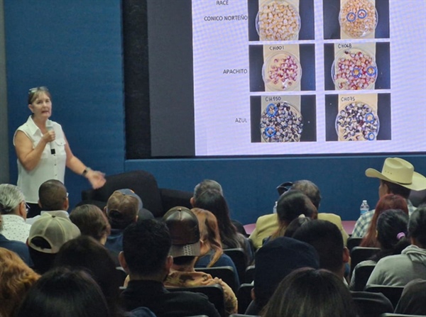 Destacada participación de investigadores del Cinvestav Irapuato en el proyecto "Vitrinas Universitarias"