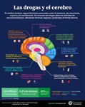 Las drogas y el cerebro