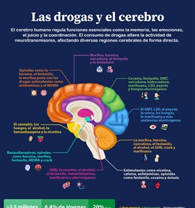 Las drogas y el cerebro