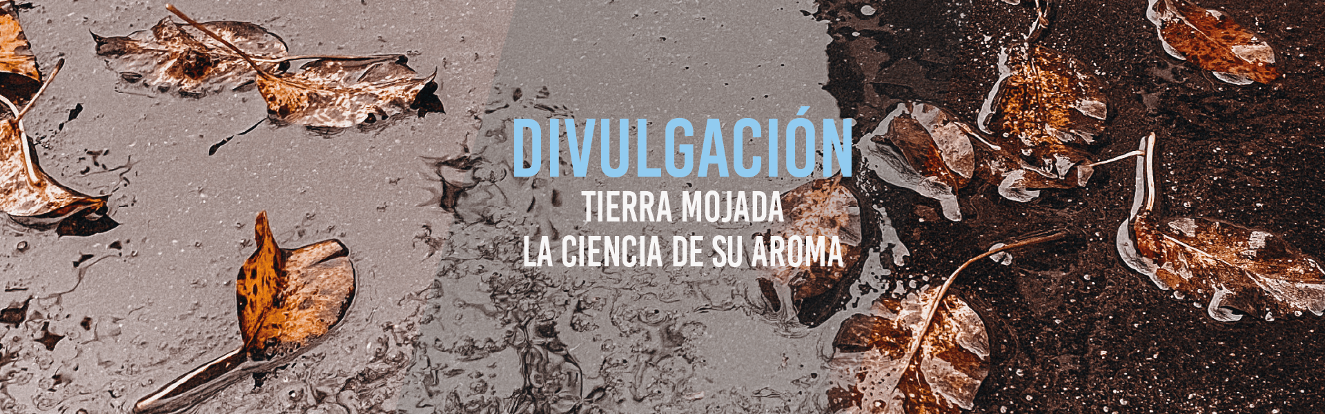 Tierra mojada