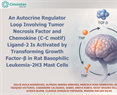 Dra. Claudia González-An Autocrine Regulator Loop Involving Tumor Necrosis Factor and Chemokine (C-C motif) Ligand-2 Is Activated by Transforming Growth Factor-β in Rat Basophilic Leukemia-2H3 Mast Ce