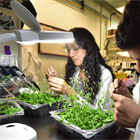 Abre UGA Langebio y el CINVESTAV sus puertas a estudiantes