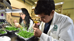 Abre UGA Langebio y el CINVESTAV sus puertas a estudiantes