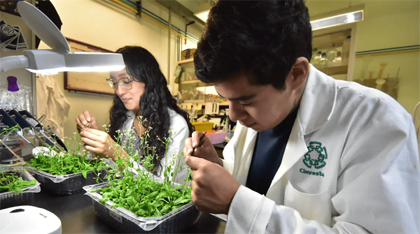 Abre UGA Langebio y el CINVESTAV sus puertas a estudiantes