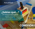 Las implicaciones del enriquecimiento ambiental en la plasticidad cerebral