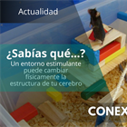 Las implicaciones del enriquecimiento ambiental en la plasticidad cerebral