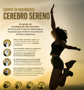 Cuerpo en movimiento, cerebro sereno