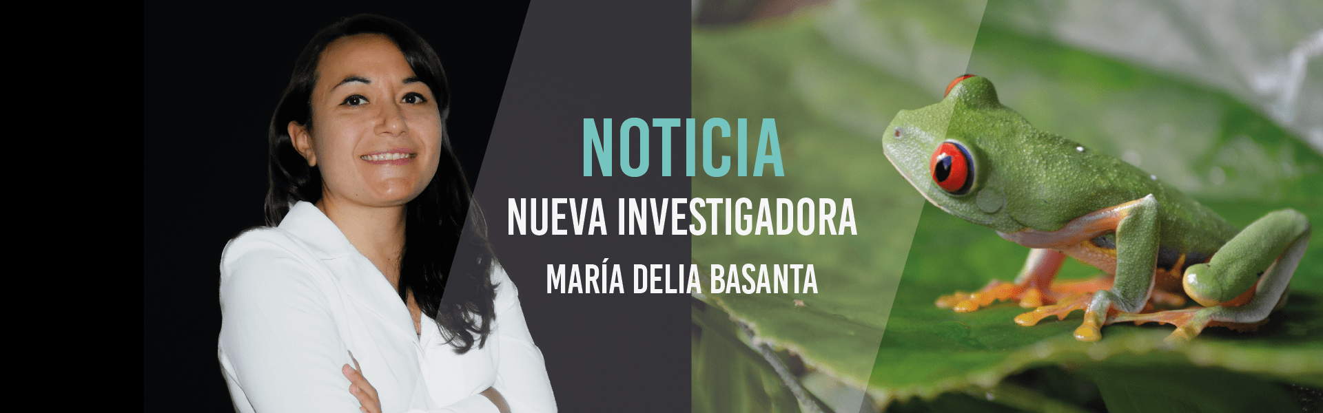 Profesora Investigadora (Solo mujeres)