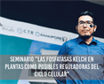 Seminario: "Las fosfatasas Kelch en plantas como posibles reguladoras del ciclo celular"