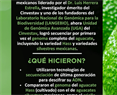 El aguacate