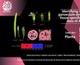 Identifying new players of gynoecium development using tissue-specific transcriptome data of Arabidopsis