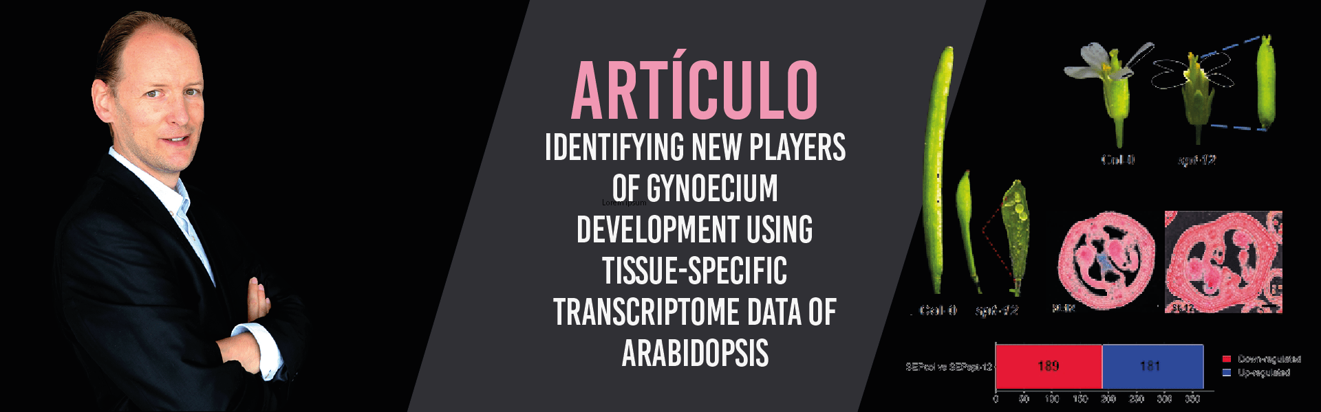 Identifying new players of gynoecium development using tissue-specific transcriptome data of Arabidopsis